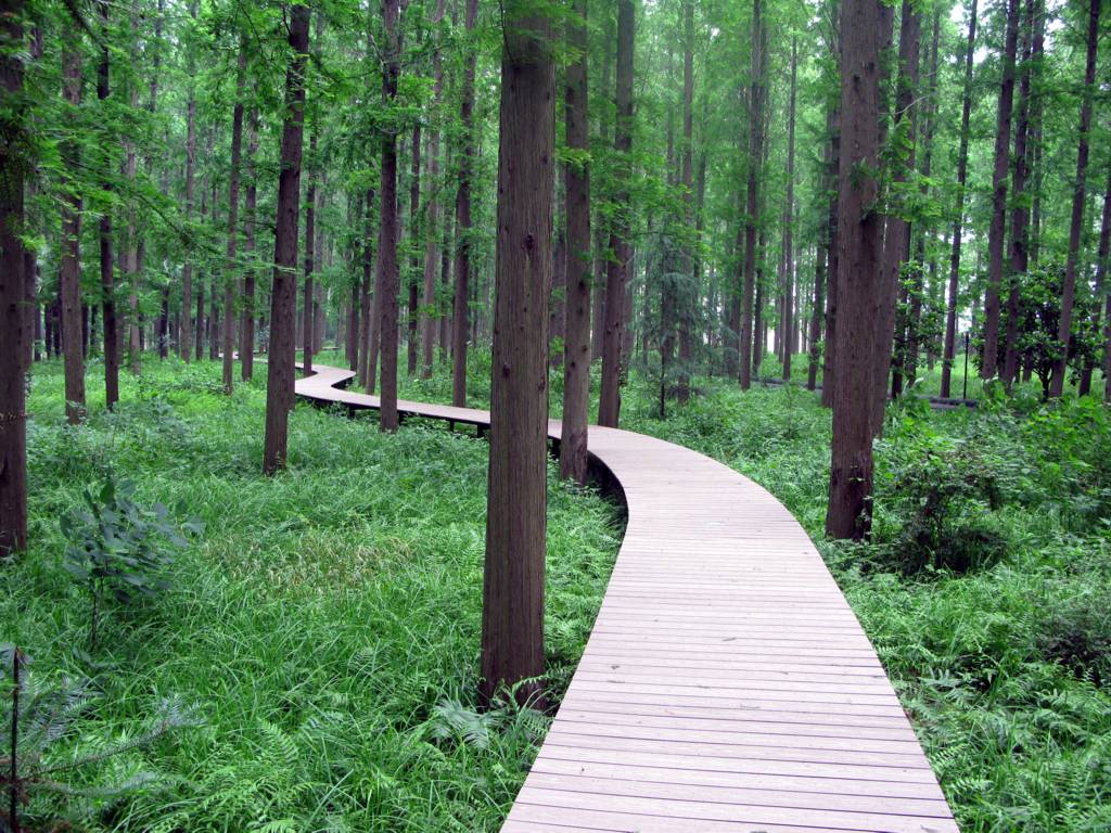 木塑复合材料在园林景观中的应用形式